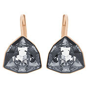 Brief Pierced Earrings