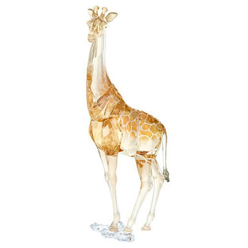 SCS Annual Edition 2018 Giraffe Mudiwa