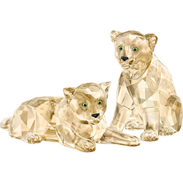 SCS Amur Leopard Cubs
