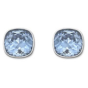 Appeal Pierced Earrings
